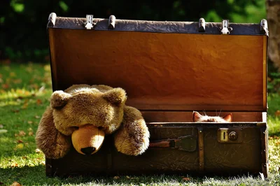 Découvrez l'urne mariage valise tendance pour un mariage unique en 2026
